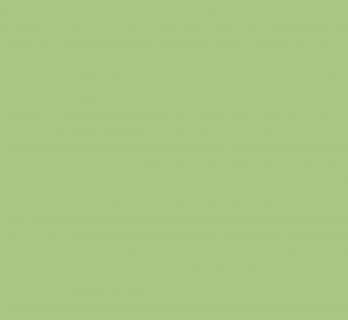 Vopsea lavabila de interior colorata Verde Feriga 8.5 L
