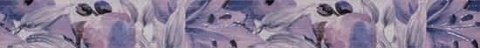 KAI List 5x50 VIOLA FLOWERS LILA&nbsp;2465