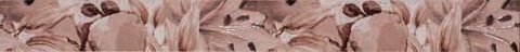 KAI List 5x50 VIOLA FLOWERS BROWN&nbsp;2466