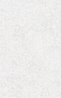 KAI Faianta 25x40 COSMOS LIGHT GREY&nbsp;5617